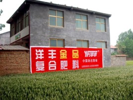  东兴如何让墙体广告展现最大化效果