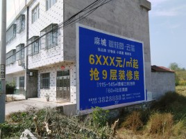  东兴墙体广告质量分析