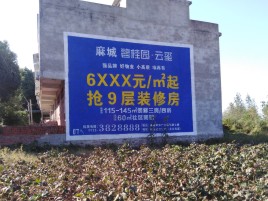 东兴品牌公司青睐的墙体广告