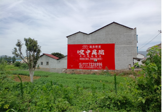  东兴做墙体广告的意义