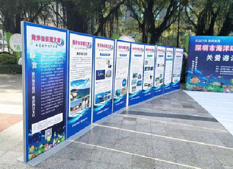  东兴KT板的种类和知识。